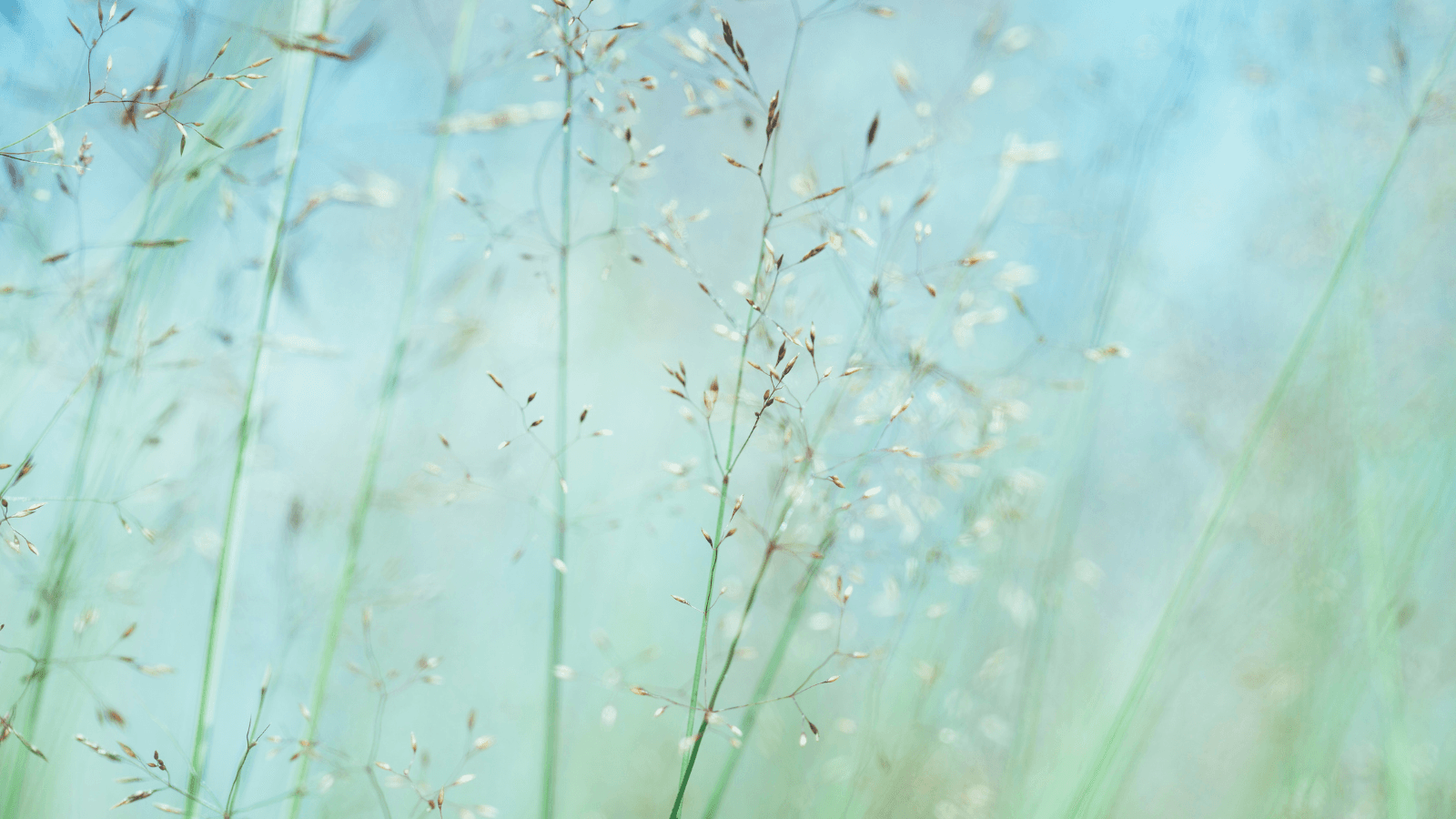 Hire and collaborate